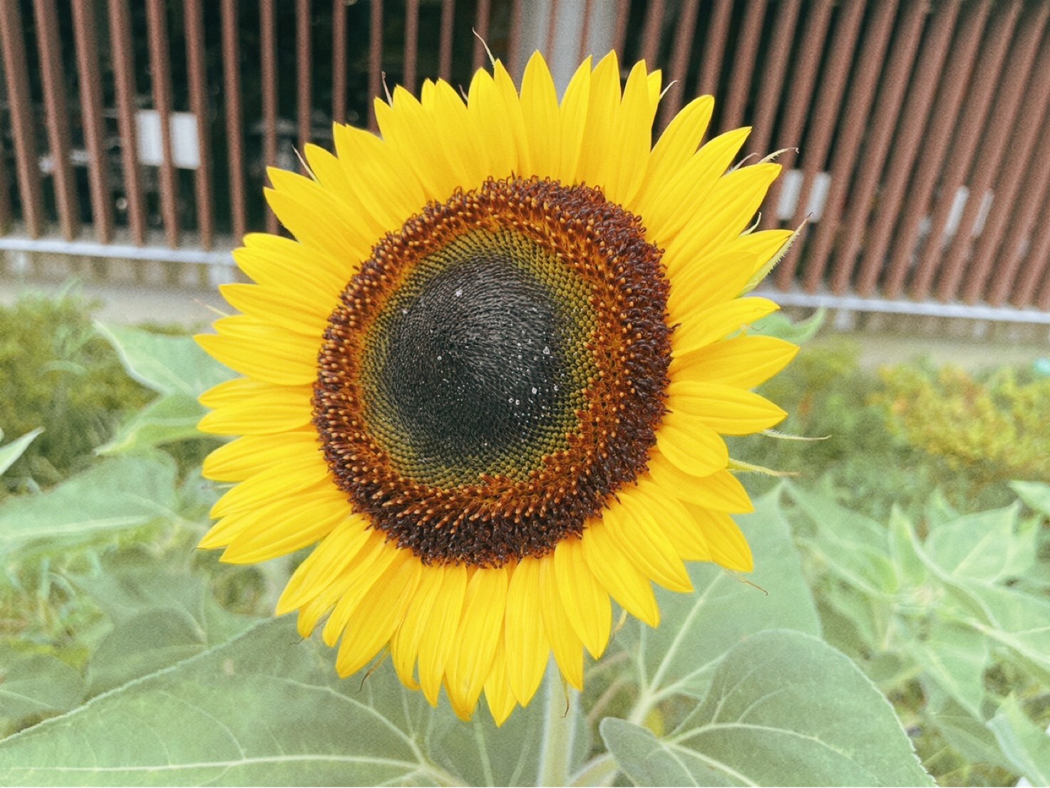 夏季の見学・体験受付中です！