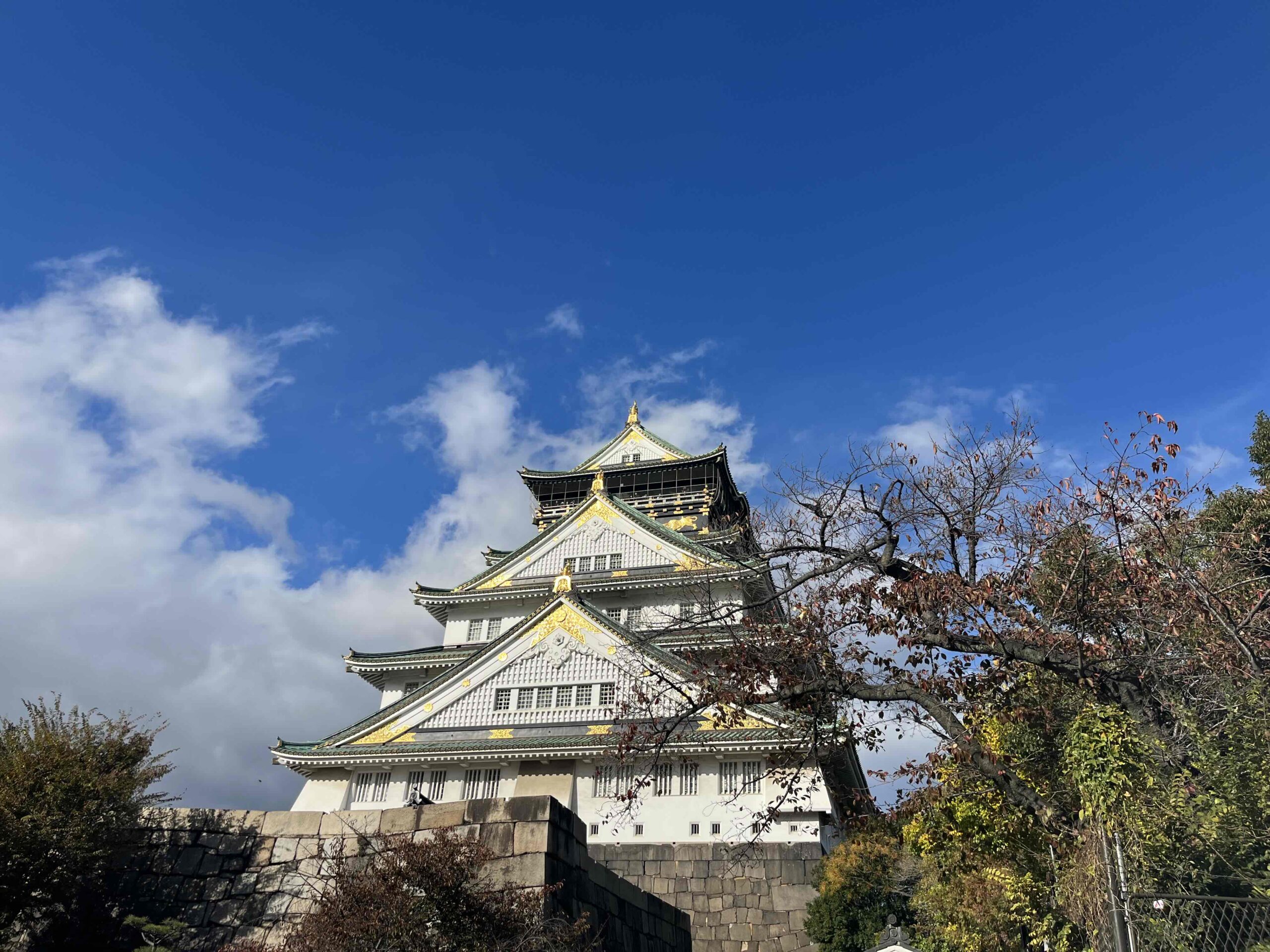 大阪城🏯天守閣見学ツアー🍂