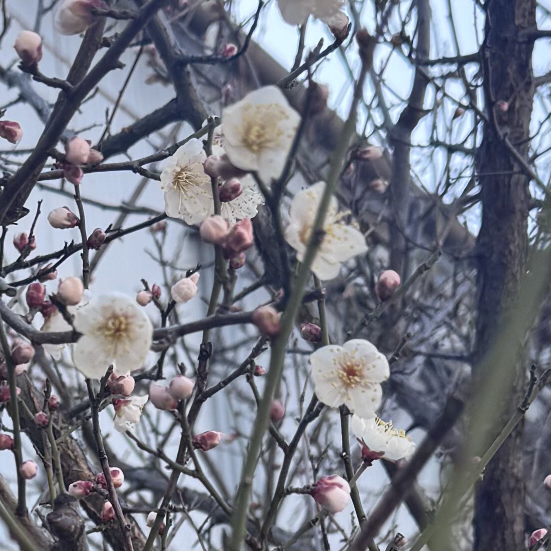 今年初のご対面をしました♪