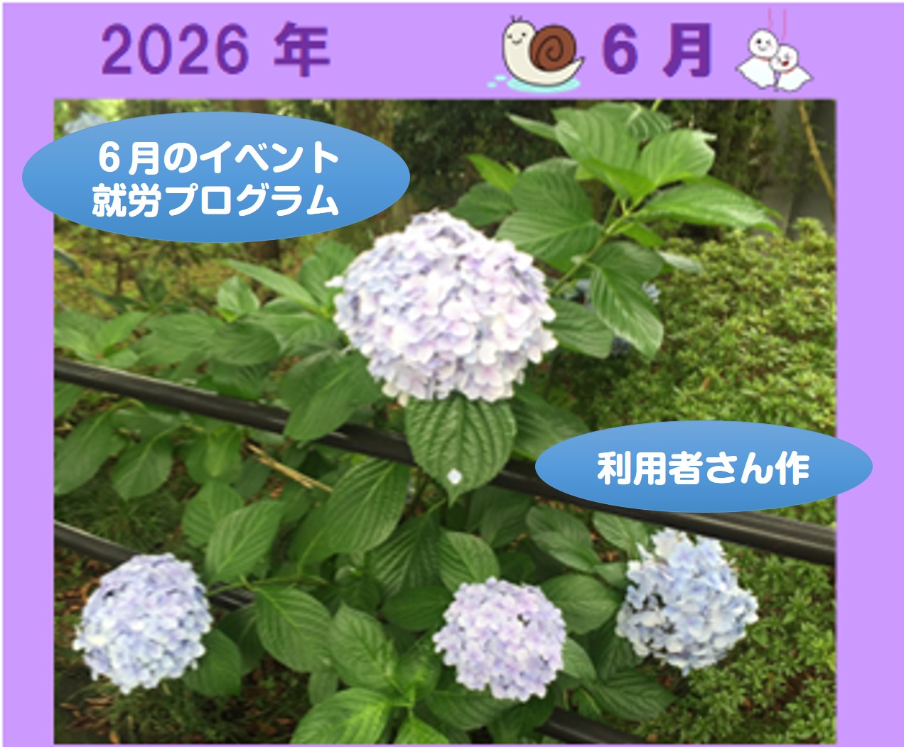 🐌６月のイベント・就労プログラム🐌